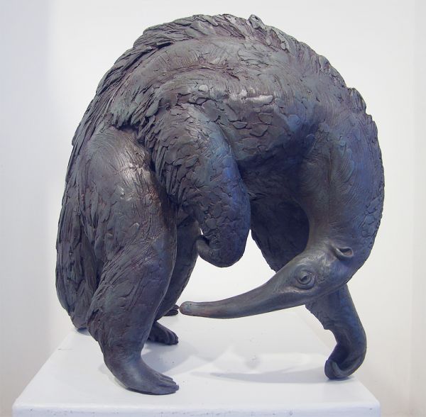 ‘Anteater’ by Lucy Kinsella