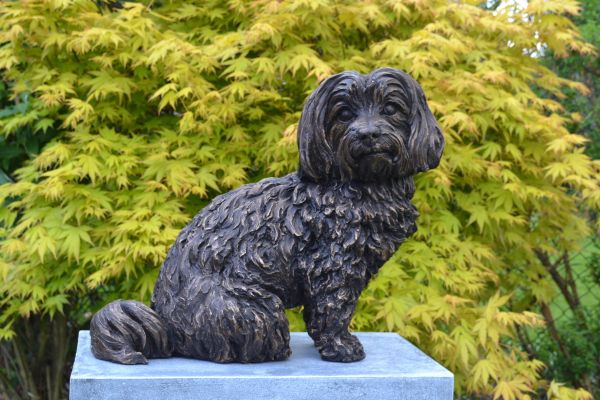 ‘Maltese Terrier sculpture, by Tanya Russell ARBS’ by Tanya Russell