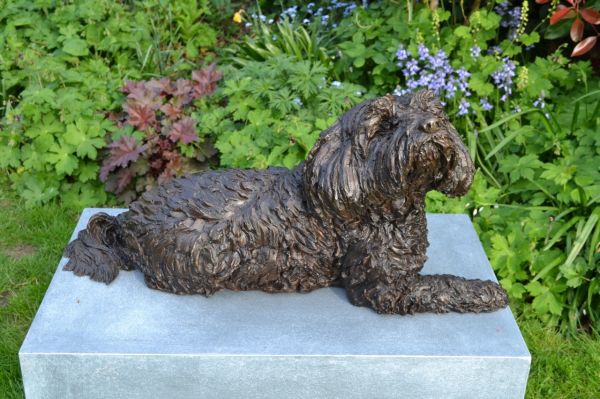 ‘Tibetan Terrier sculpture, by Tanya Russell ARBS’ by Tanya Russell