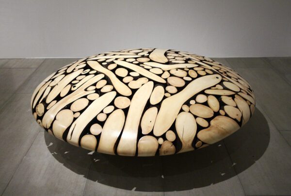 'CARVED FROM THE WILD'
