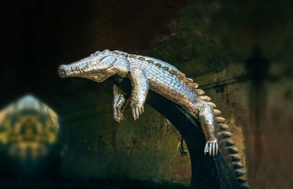 'BASKING CROCODILE'