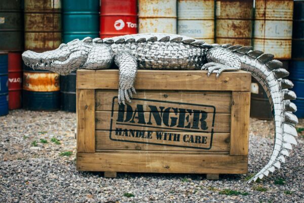 'CROCODILE ON A CRATE (Smaller croc)'