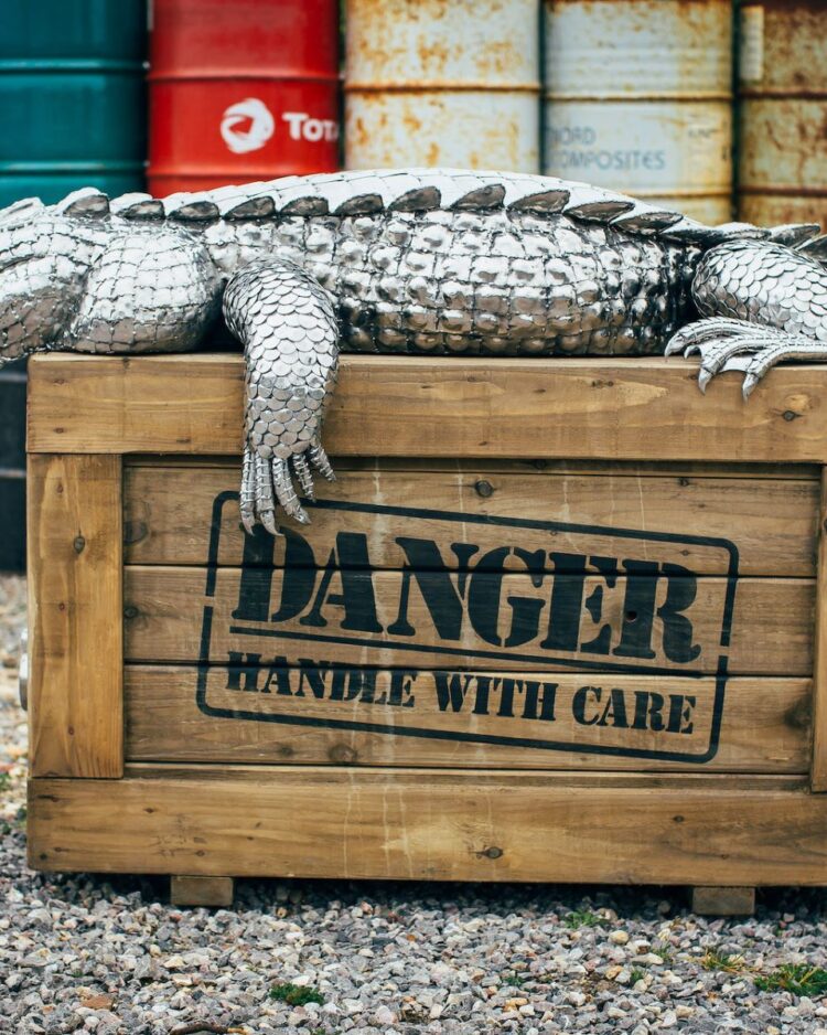 'CROCODILE ON A CRATE (Smaller croc)'