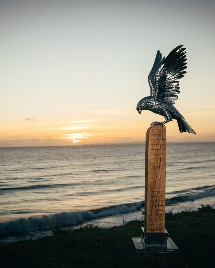 'SMALL FALCON'