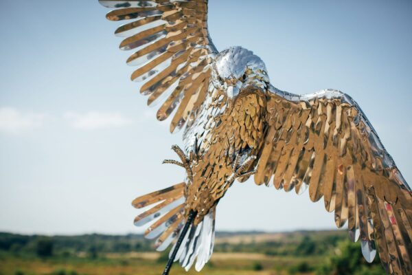 'FALCON IN FLIGHT'