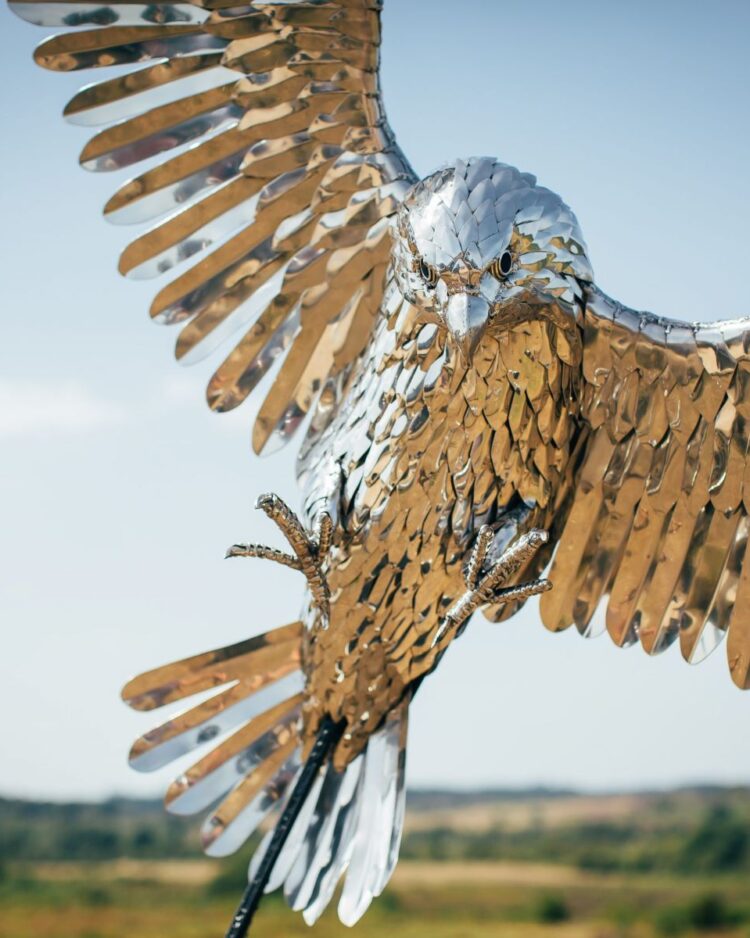 'FALCON IN FLIGHT'