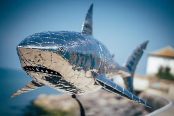 'GREAT WHITE SHARK'