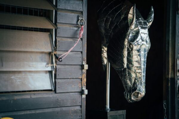 'HORSES HEAD'