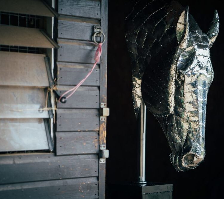 'HORSES HEAD'