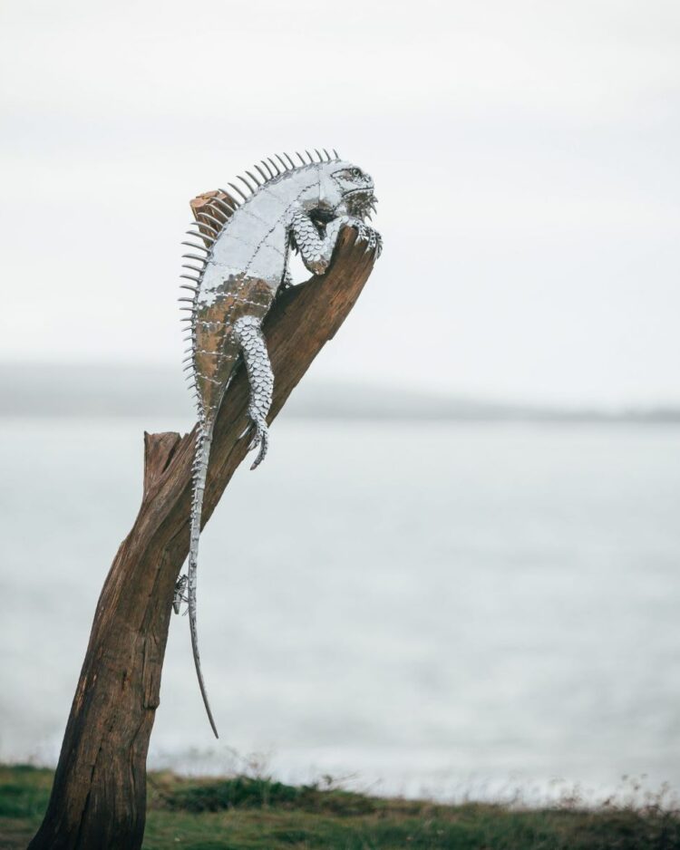 'BASKING IGUANA ON STAINLESS PLINTH'