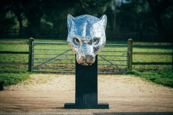 'LEOPARD HEAD'