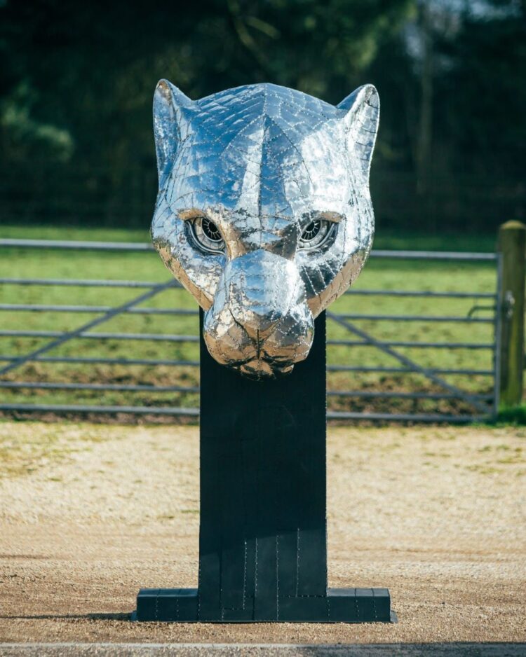 'LEOPARD HEAD'