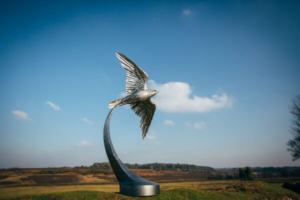 'PEREGRINE FALCON'