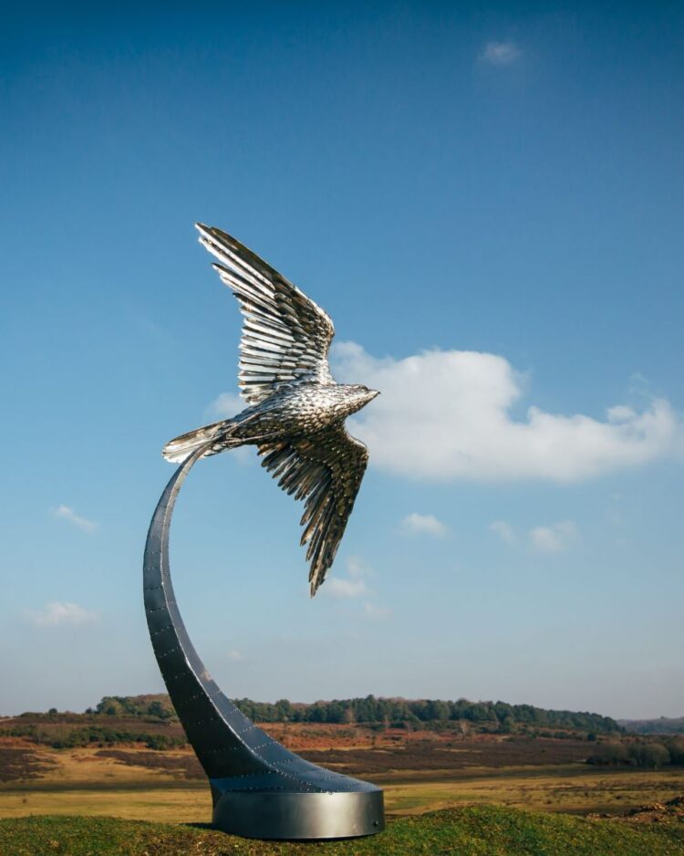 'PEREGRINE FALCON'