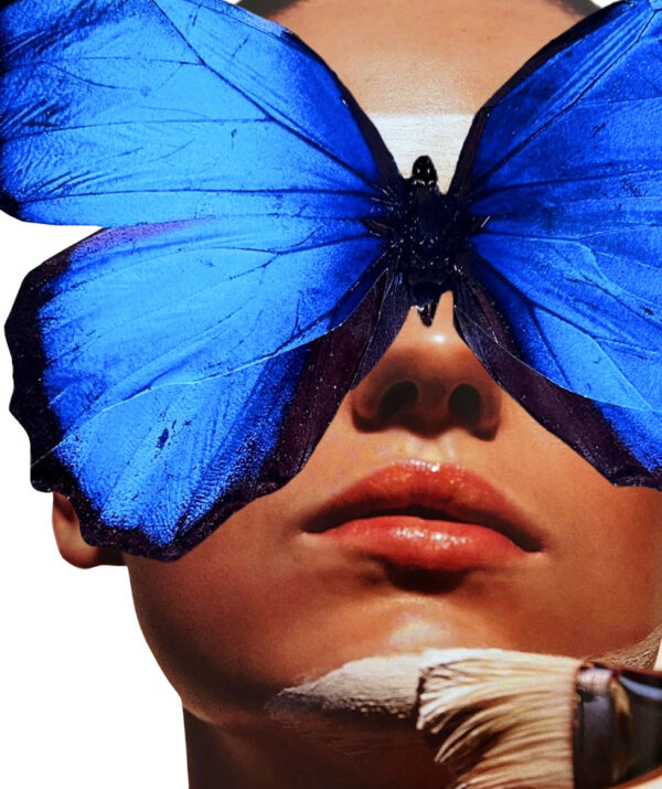'MISS MORPHO'