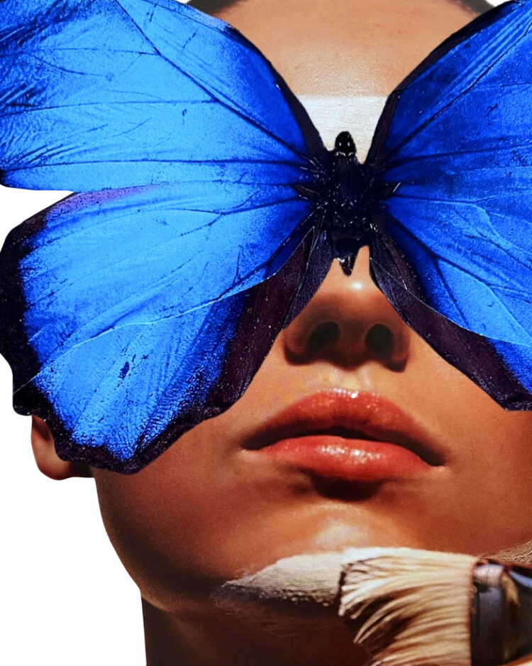 'MISS MORPHO'