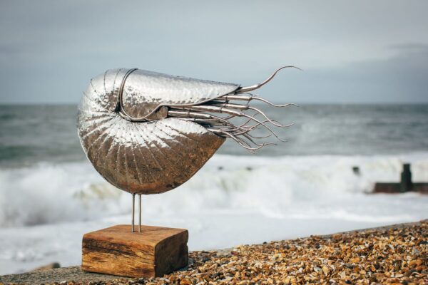 'NAUTILUS'