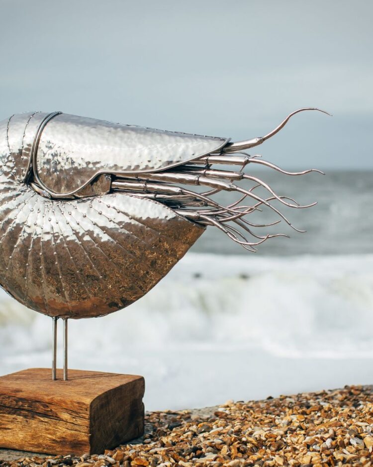 'NAUTILUS'
