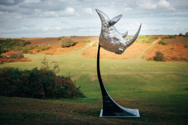 'RHINO HEAD'