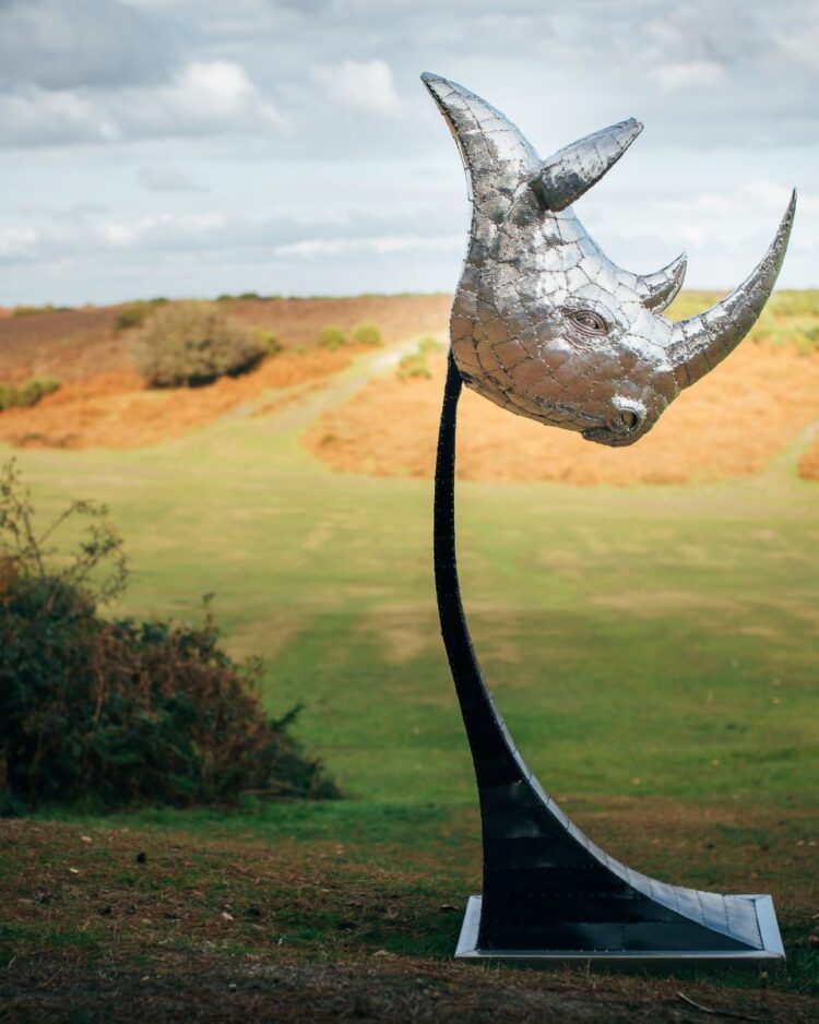 'RHINO HEAD'