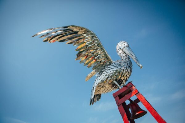 'PELICAN'