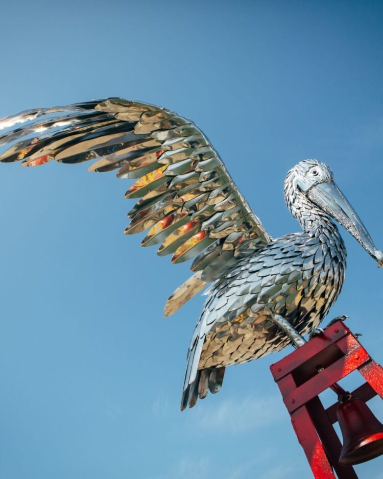 'PELICAN'