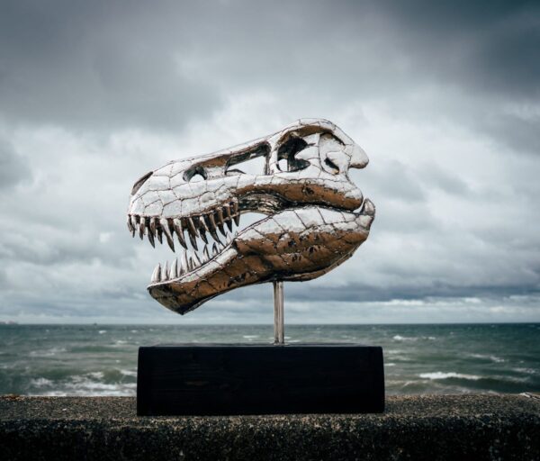 'TREX SKULL'