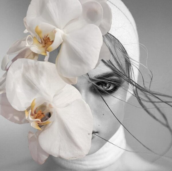 'WILLOW'