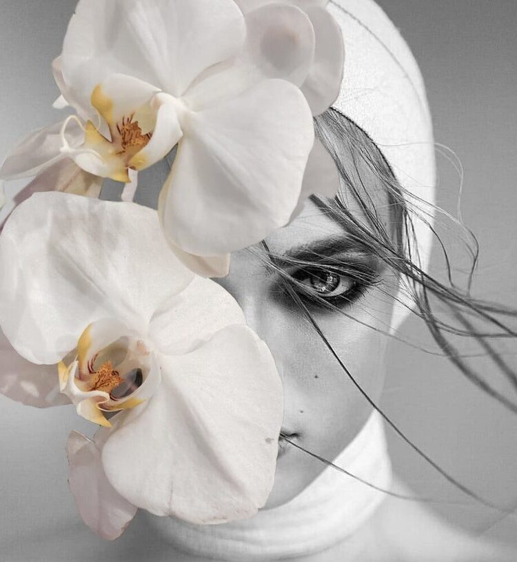 'WILLOW'