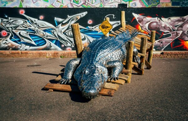 'CROCODILE ON A PONTOON'