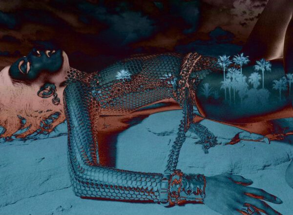 'FALLEN IN PALM SPRINGS'