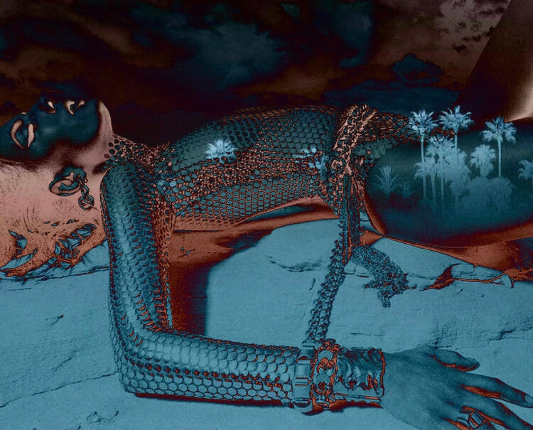 'FALLEN IN PALM SPRINGS'