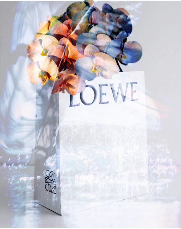 'LOEWE BUNCH'