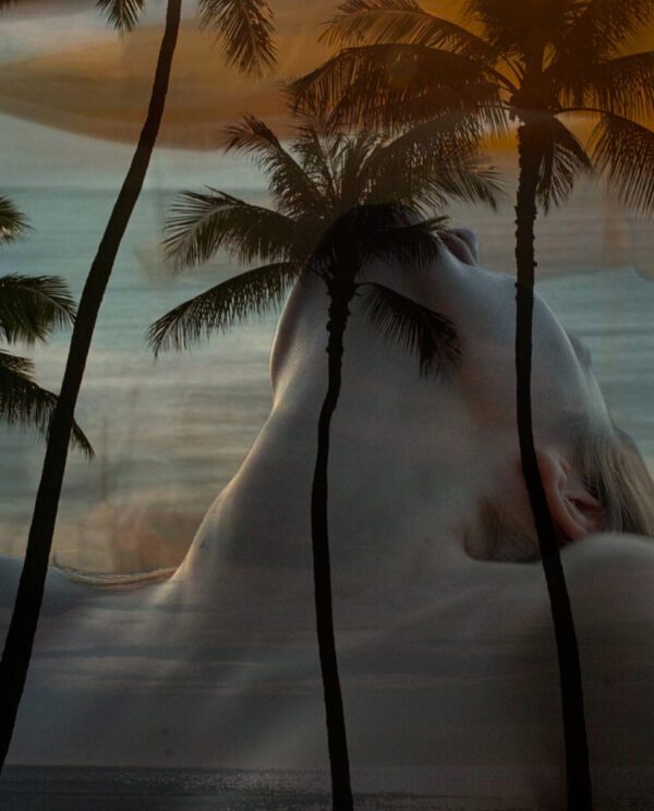 'LOST IN PARADISE'