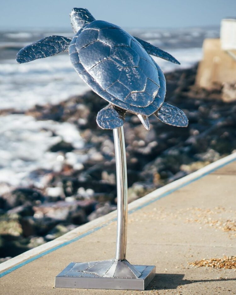 'TURTLE'