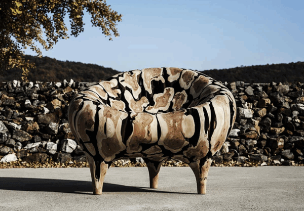 'ROOTS TO BEAUTY'