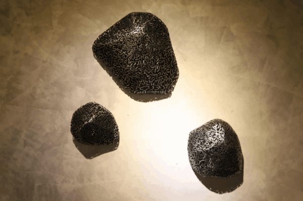 'BOLD STEEL TOUCH'