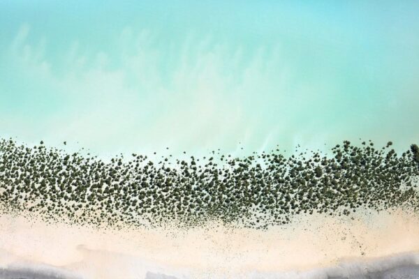 'GIRT BY SEA 056'