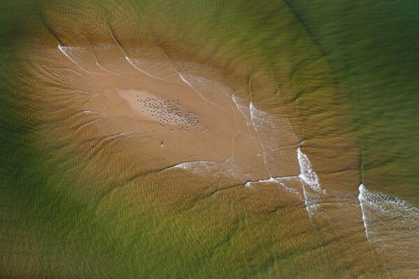 'GIRT BY SEA 071'