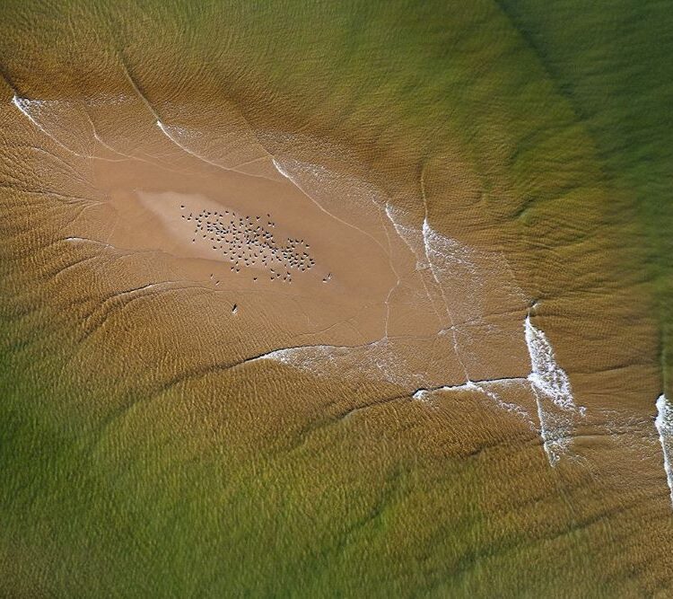 'GIRT BY SEA 071'
