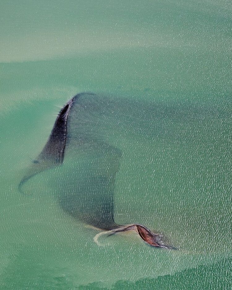 'GIRT BY SEA 072'