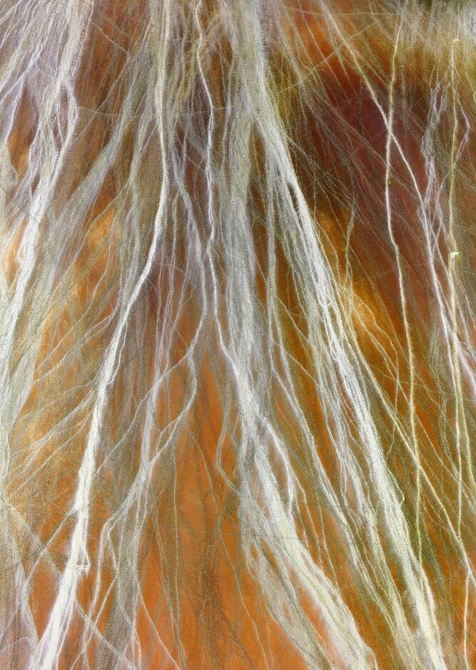 'GIRT BY SEA 073'