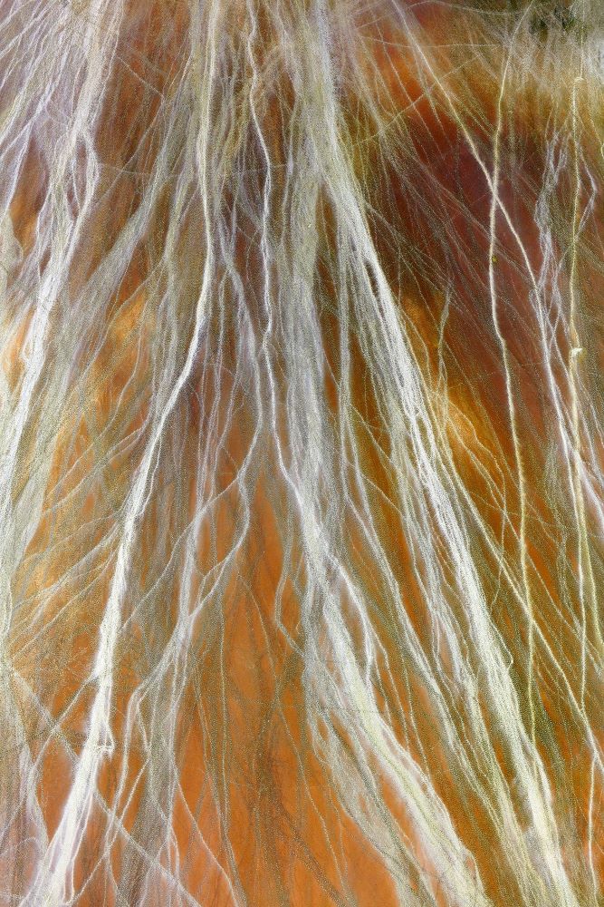 'GIRT BY SEA 073'