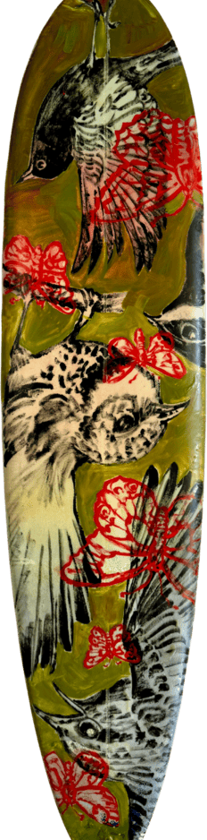 Bromley surf board birds